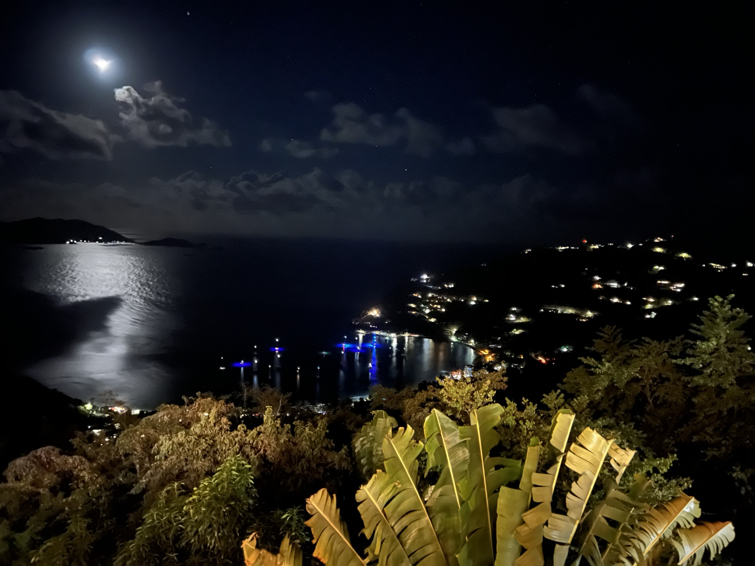 Moonlight over a bay with hillside lights and tropical foliage